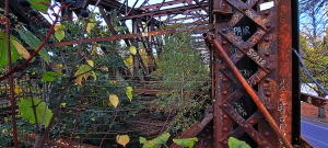 Herbstlaub auf der alten Liesenbrücke