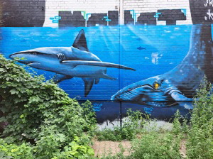 Wal-Grafitti