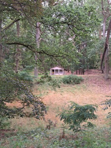 verlassenes kleines Geb�ude im Wald G�tzer Berge