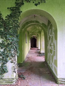 Efeubewuchs an der wandelgangartige Architektur im Aussenbereich