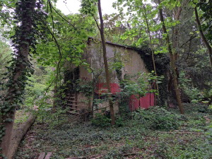 Schwanenwerder_38_Mai26_050_klein