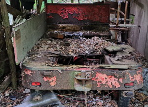 verrottener Wagen