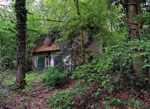 Schwanenwerder_40_Mai26_020_klein