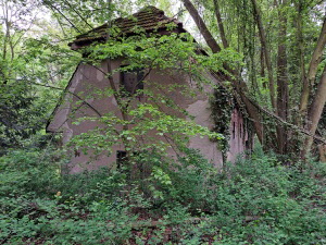 Schwanenwerder_40_Mai26_040_klein