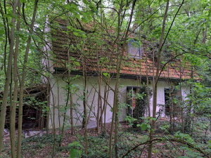 Schwanenwerder_40_Mai26_080_klein