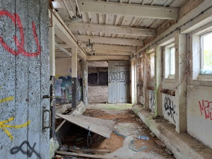 Viehzucht_Diedersdorf_Apr26_0150_klein