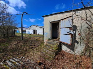 Viehzucht_Diedersdorf_Apr26_0740_klein